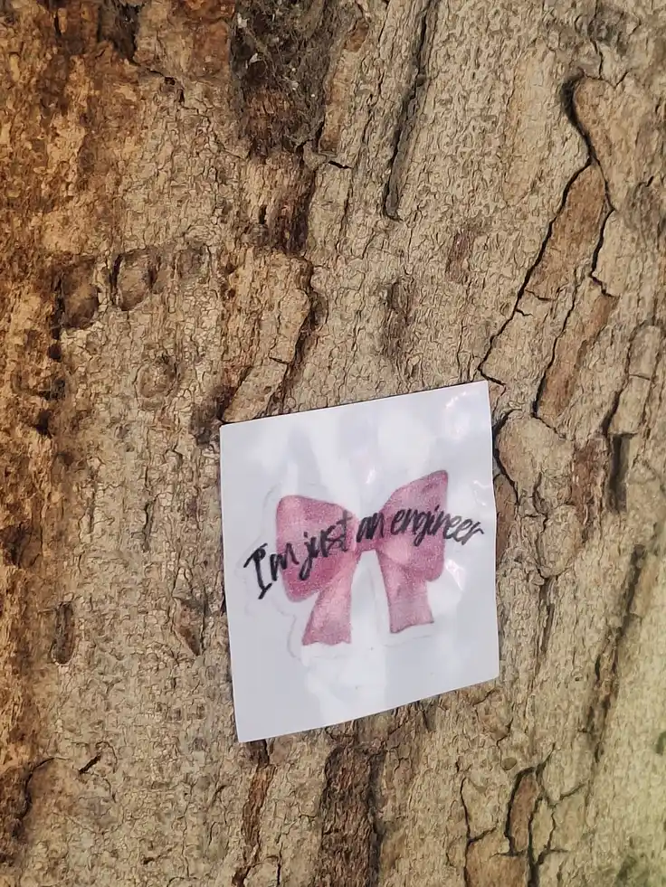 Just an engineer sticker on a tree at Ain Shams University
